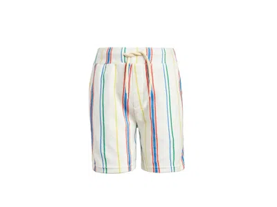 Appaman Resort Shorts (toddler/little Kid/big Kid) Boy's Shorts Painter's Stripe : 4 Toddler, Cotton/polyest In Animal Print