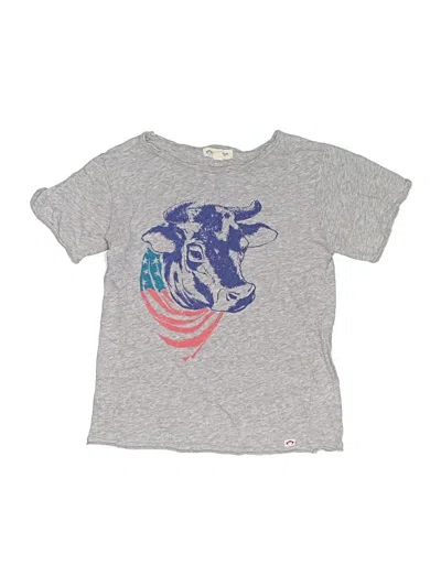Pre-owned Appaman Kids' Short Sleeve T-shirt In Gray