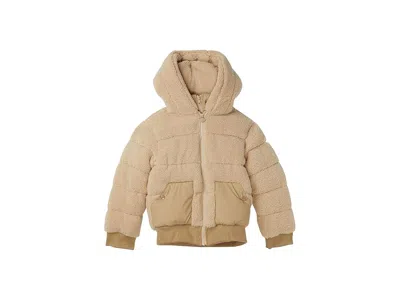 Appaman Teddy Puffer Coat (toddler/little Kid/big Kid) Girl's Coat Beige : 3 Toddler, Polyester In Brown