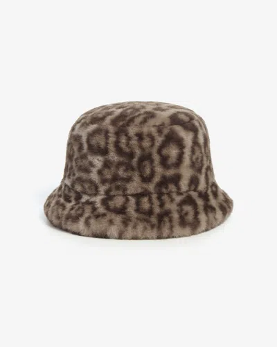 Apparis Amara Leopard Bucket Hat In Light Leopard