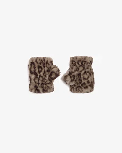 Apparis Ariel Fingerless Leopard Kids Gloves In Light Leopard