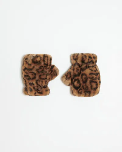 Apparis Ariel Gloves Leopard