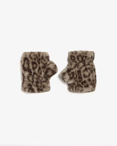 Apparis Ariel Leopard Fingerless Gloves In Light Leopard