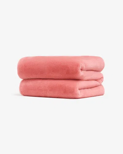 Apparis Brady Blanket Geranium
