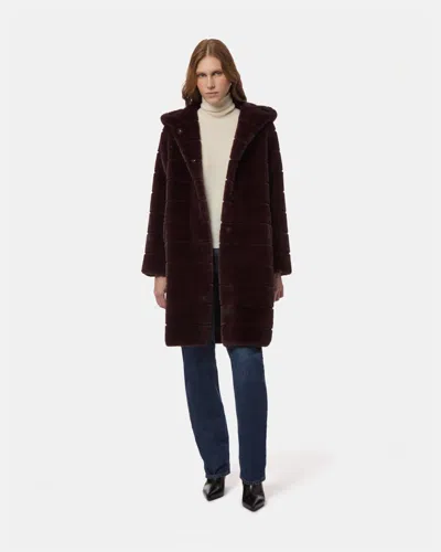 Apparis Celina Hooded Coat In Burgundy
