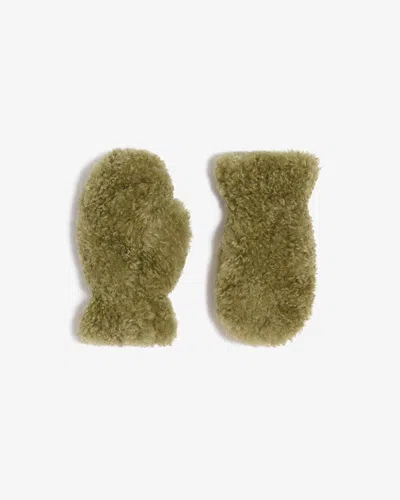 Apparis Coco Bouclette Gloves In Green