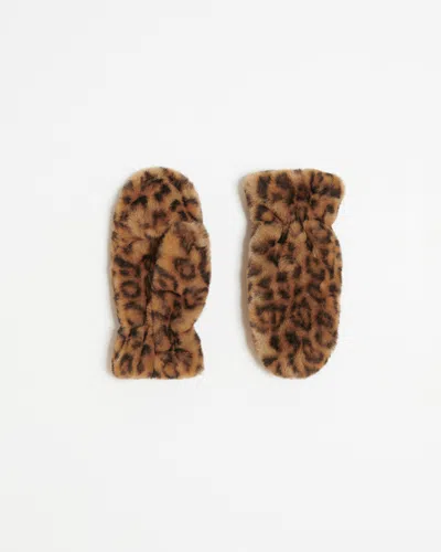 Apparis Coco Gloves Leopard