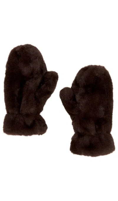 Apparis Coco Gloves In Espresso