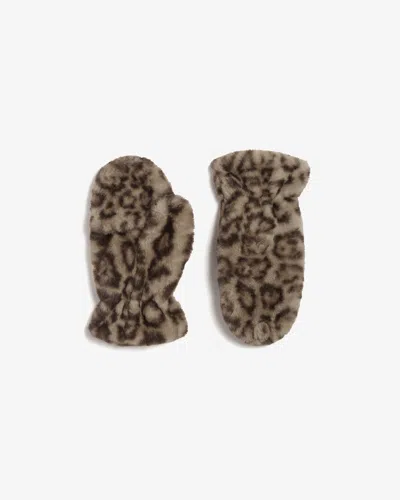 Apparis Coco Leopard Gloves In Light Leopard