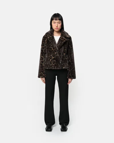 Apparis Dahlia Dark Leopard Biker In Brown