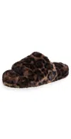 Apparis Dillon Dark Leopard Slide In Animal Print