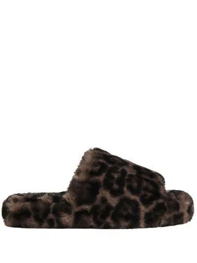 Apparis Dillon Slippers In Braun