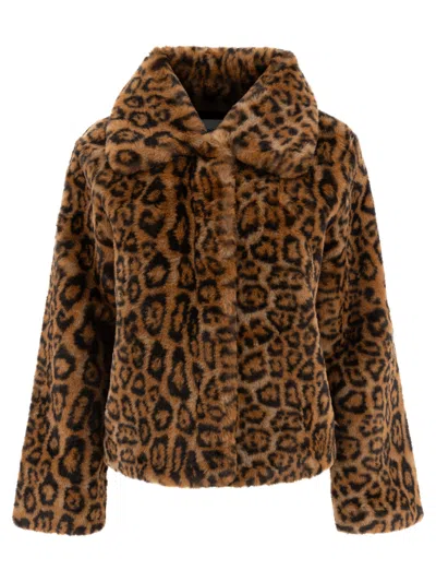 Apparis 'elis' Brown Jacket With Collar