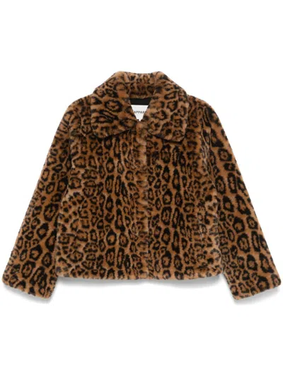 Apparis 'elis' Brown Jacket With Collar