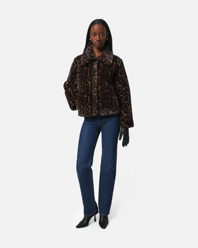 Apparis Elis Leopard Coat In Multi