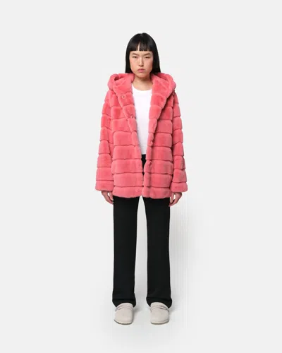 Apparis Goldy Geranium Coat In Pink