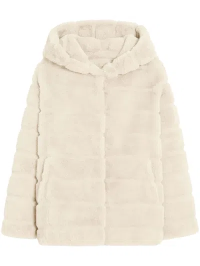 APPARIS GOLDY HOODED COAT