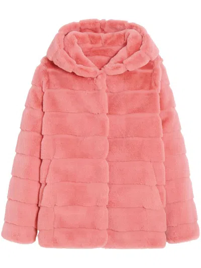 Apparis Goldy Hooded Coat In Pink