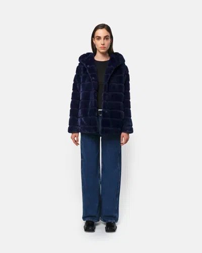 Apparis Goldy Ink Coat In Black