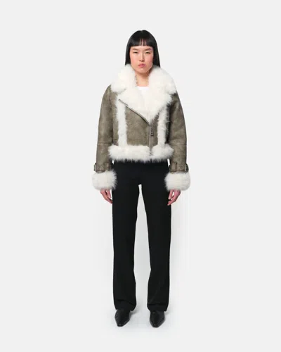 Apparis Jay Coat Sage & Blanc In Gray