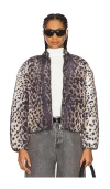 Apparis Leni Bomber Jacket Leopard In 레오파드
