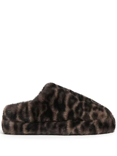 Apparis Misha Slippers In Brown