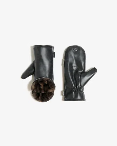 Apparis Noa Leopard Zipper Gloves In Brown
