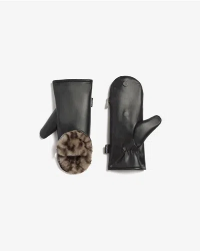 Apparis Noa Leopard Zipper Gloves In Noir/light Leopard