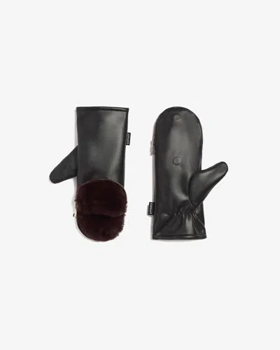 Apparis Noa Zipper Gloves In Noir/burgundy