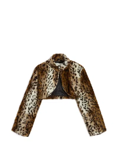 Apparis Odette Leopard-print Jacket In Brown