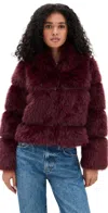 Apparis Sai Sable Coat Merlot In Burgundy