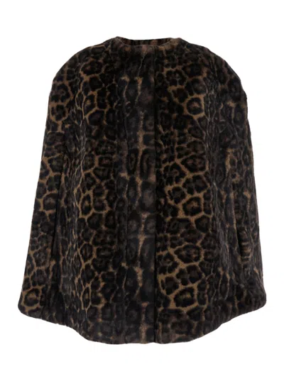 Apparis Leopard-print Cape In Brown