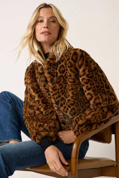 Apparis Tina Leopard Coatigan