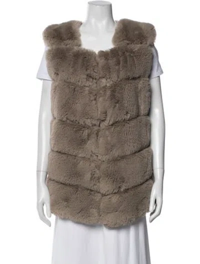 Pre-owned Apparis Vest In Neutral