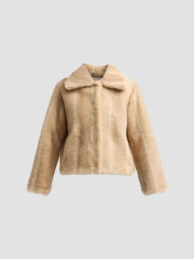 Apparis Women's Elis Faux Fur Mink Coat In Brown