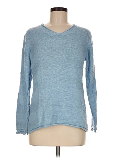 Pre-owned Appleseeds Pullover Sweater In Blue