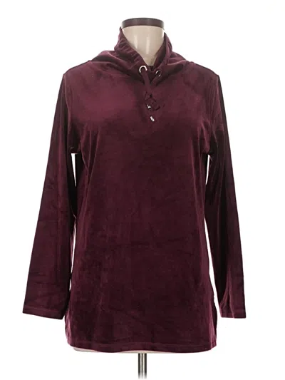 Pre-owned Appleseeds Pullover Sweater In Burgundy