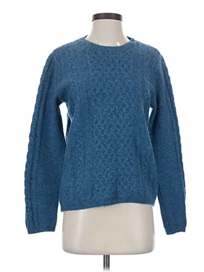 Pre-owned Appleseeds Wool Pullover Sweater In Blue