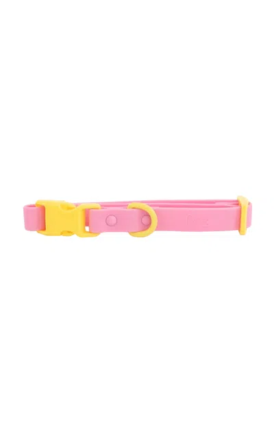 Approved By Fritz The Fritz Pet Collar In Pink