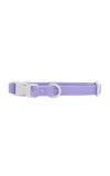 Approved By Fritz The Fritz Pet Collar In Purple