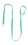 Approved By Fritz The Fritz Pet Leash In Green