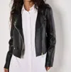 Apricot Biker Jacket In Black In Black