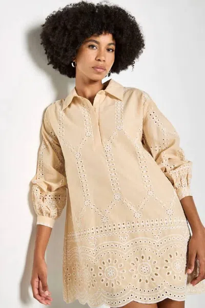 Apricot Cotton Swing Mini Dress In Stone In Neutral