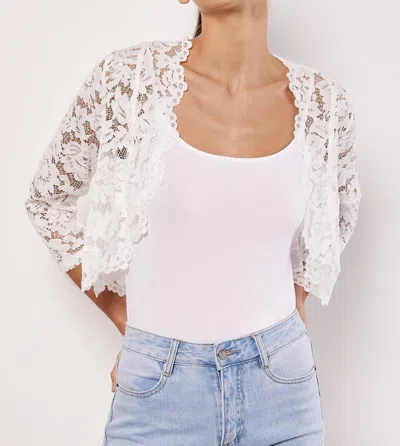 Apricot Lace Cardigan In Cream In White