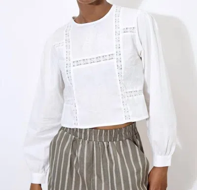 Apricot Lace Panel Embroidered Top In White