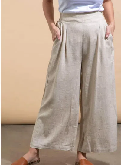 Apricot Pleat Detail Linen Pant In Stone In White