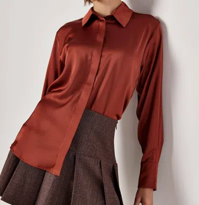 Apricot Pumpkin Spice Satin Blouse In Rust