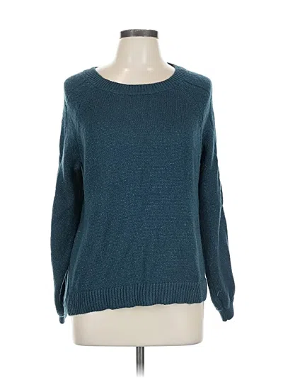 Pre-owned Apt. 9 Pullover Sweater In Blue