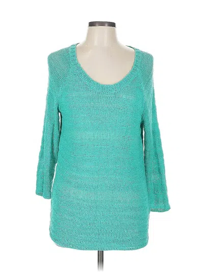 Pre-owned Apt. 9 Pullover Sweater In Blue