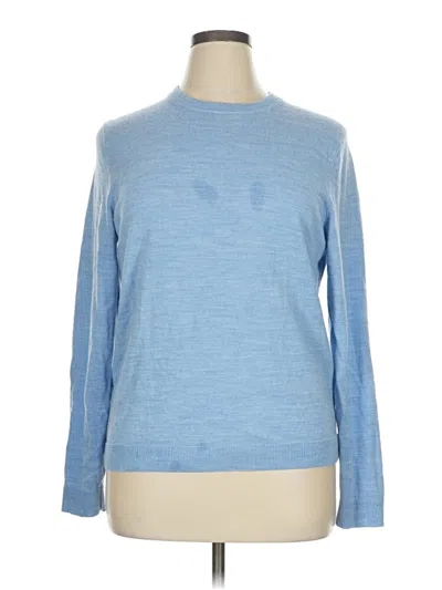 Pre-owned Apt. 9 Pullover Sweater In Blue
